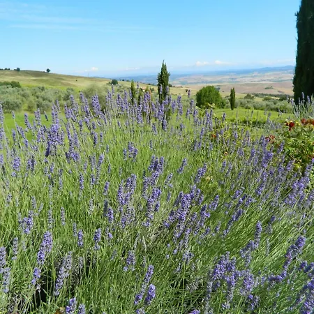 Apartment Haus Claudia Mit Schoenem Garten By Interhome Campiglia d'Orcia